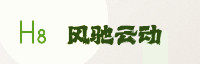 安心伙伴